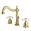 Elements of Design EB1972PX Two Handle 8" to 16" Widespread Bathroom Faucet with Retail Pop-up, Polished Brass