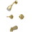 Elements of Design EB242AL Two Handle Tub & Shower Faucet, Polished Brass Finish