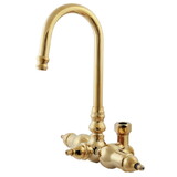 Elements of Design ED200-2 Gooseneck Faucet With Back Outlet & Diverter, Polished Brass
