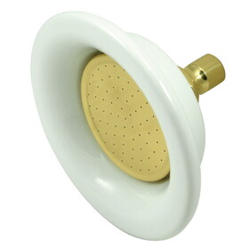 Elements of Design EDP602 Shower Head, Polished Brass