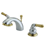 Elements of Design ES2954 Mini-Widespread Lavatory Faucet, Polished Chrome/Polished Brass
