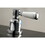 Fauceture FSC8921DPL Paris Widespread Bathroom Faucet, Polished Chrome