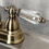 Kingston Brass KB1493WLL Wilshire Two-Handle Bar Faucet, Antique Brass