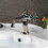 Kingston Brass KS3546CG Fuller Single-Handle Bathroom Faucet with Push Pop-Up, Polished Nickel