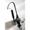 Kingston Brass NS3190DKL Water Onyx Single-Handle 1-Hole Deck Mount Water Filtration Faucet, Black Stainless Steel