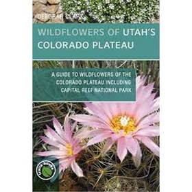 NATIONAL BOOK NETWRK 9781934553800 Wildflowers Of Utahs Colorado Plateau