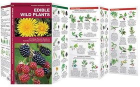 Waterford Press 9781583551271 Edible Wild Plants