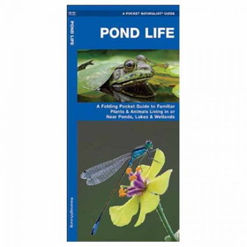 Waterford Press 9781583552148 Pond Life