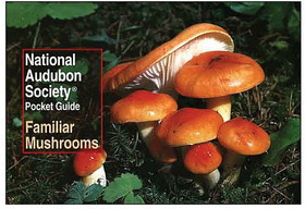 RANDOM HOUSE 9780679729846 Pocket Guide To Familiar Mushrooms: National Audubon Society