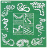 THE PRINTED IMAGE 104113 Snakes Bandana