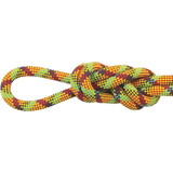 Maxim Climbing Ropes 440720 Apex 10.5Mmx60M Technicolr Dry