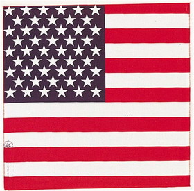 CAROLINA MANUF B22AME-000114 American Flag