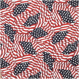 CAROLINA MANUF B22AME-000115 Tossed American Flag