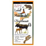 Earth Sky+Water MNE-157 Land Mammals Of The Northeast