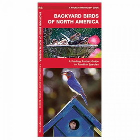 Waterford Press 9781583554647 Backyard Birds Of North America