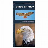 Waterford Press 9781583551899 Birds Of Prey