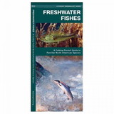 Waterford Press 9781583551837 Freshwater Fishes