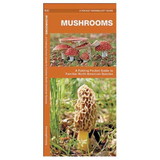 Waterford Press 9781583551820 Mushrooms