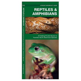 Waterford Press 9781583551806 Reptiles & Amphibians