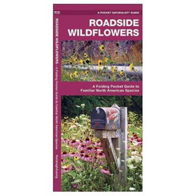 Waterford Press 9781583551790 Roadside Wildflowers