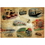 Hoffmaster Ethnic Printed Placemats, 9-3/4" x 14", Price/case/1000ct