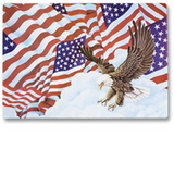 Hoffmaster 998844 901-FD206 Patriotic Flags Placemat