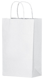 Blank White Kraft Twisted Paper Handle Shopper, 10" x 13"