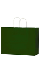Blank Gloss Color Twisted Paper Handle Shopper, 16" x 13"