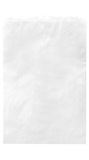 Blank White Kraft Merchandise Bag, 12