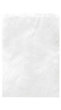 Blank White Kraft Merchandise Bag, 6 1/2