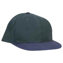 OTTO CAP 19-185 6 Panel Low Profile baseball cap