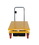 Vestil CART-1000-WD-DC dc power hydr scissor cart 1k 31.5x47.15, Price/EACH