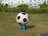 Everrich EVC-0048 Giant Soccer Ball - 40