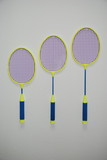 Everrich EVE-0003-0004 Stringless Badminton Racket