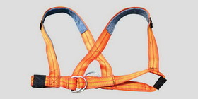 Fisher Athletic Harness with metal clip