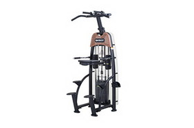 SportsArt 10-6950 N911 Status Assisted Chin-Up and Tricep Dip