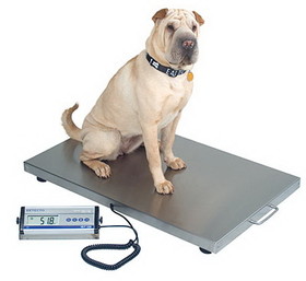 Detecto 12-2452 Veterinary Scale, Digital, 330 lb, x .2 lb / 150 kg x .1kg, Wheels