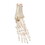 3B Scientific 12-4189 Human Foot and Ankle Skeleton, Wire Mounted, Includes 3B Smart Anatomy