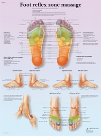 3B Scientific 12-4604P Anatomical Chart - Foot Massage, Reflex Zone, Paper