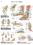 3B Scientific 12-4608P Anatomical Chart - Foot & Ankle, Paper, Price/Each