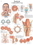 3B Scientific 12-4612P Anatomical Chart - Larynx, Paper, Price/Each