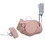 3B SCIENTIFIC CATHETERIZATION SIMULATOR BASIC - SET F/M