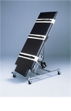 Generic 15-3042 Tilt Table - Professional Electric, Upholstered, 28