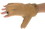 HAND-BASED RADIAL NERVE SPLINT