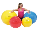 PhysioGymnic molded vinyl inflatable ball