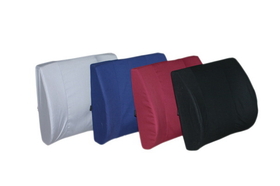 Lumbar support with cover