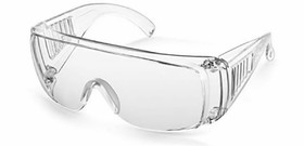 FEI 69-0566 Safety Glasses