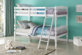 Acme Homestead Bunk Bed (Twin/Twin) in White _Kit 02298