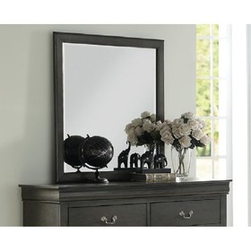 Acme Louis Philippe Mirror in Dark Gray 26794