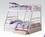 ACME Jason Bunk Bed (Twin/Full) in White 37040